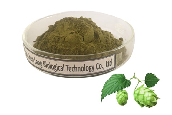 Pure Xanthohumol Powder for Anti-inflammatory and Antioxidant Support