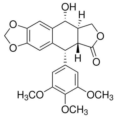 Safe Podophyllin Powder