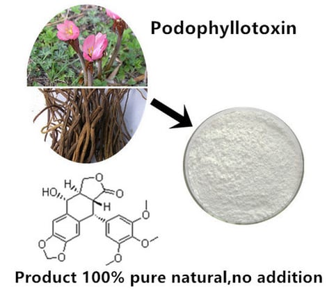 Safe Podophyllin Powder