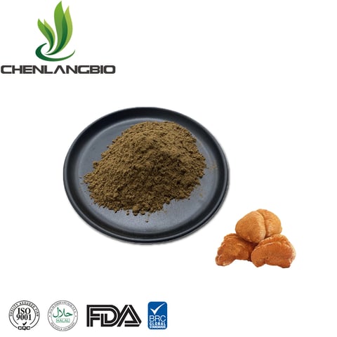 Dried Organic Lion's Mane Extract Powder