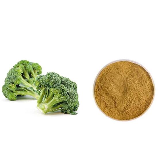 Broccoli Extract Sulforaphane