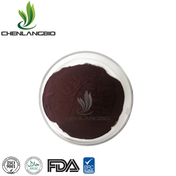 Blueberry Extract Powder