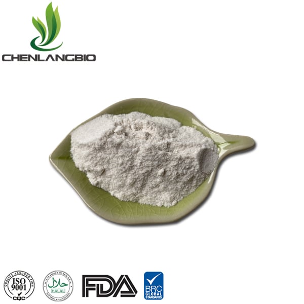 Serrapeptase Powder to Promote Healing