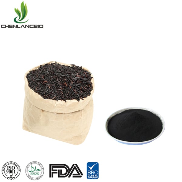 Black Rice Extract Powder