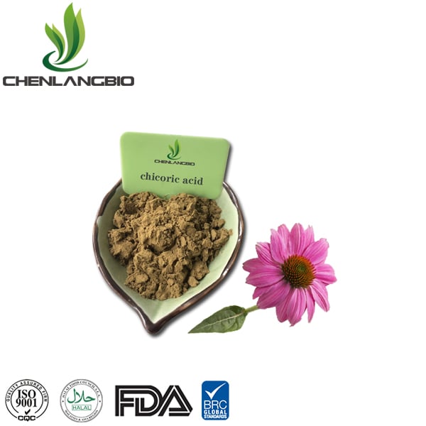 Echinacea Extract Powder