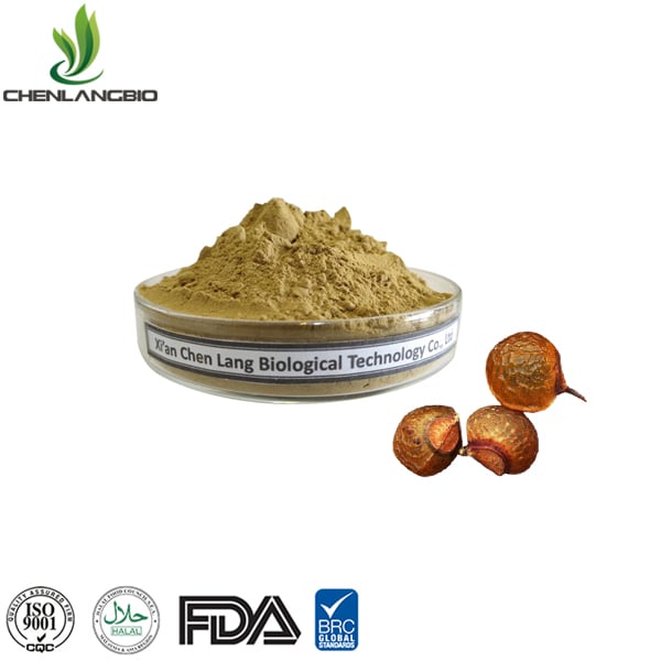 Soapnut Extract Powder