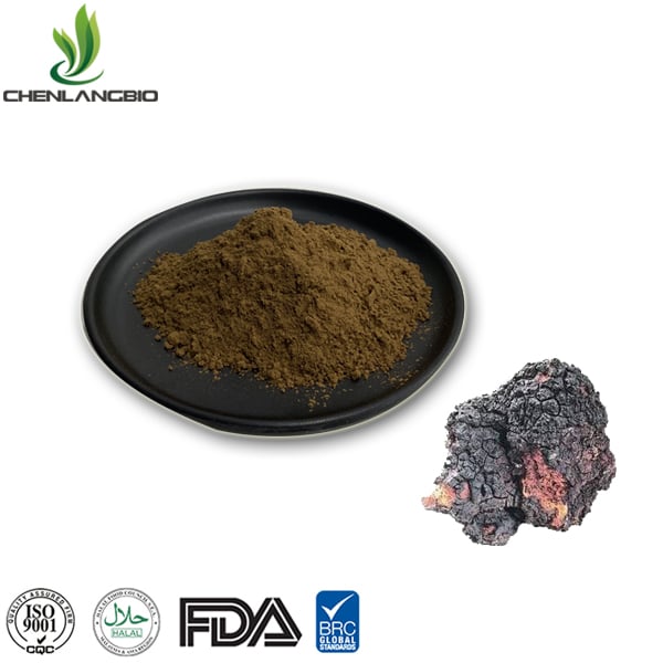 Chaga Mushroom Extract Powder