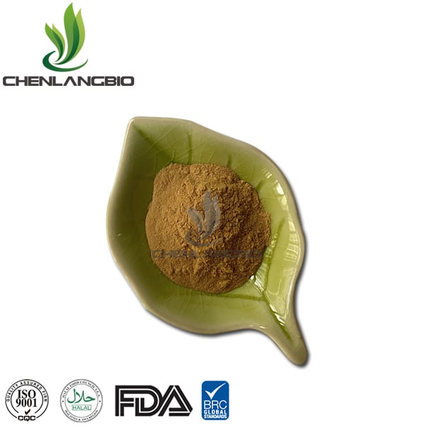 Broccoli Extract Powder