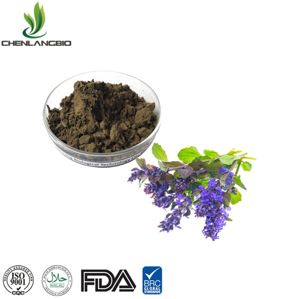 High-Quality Turkesterone Powder