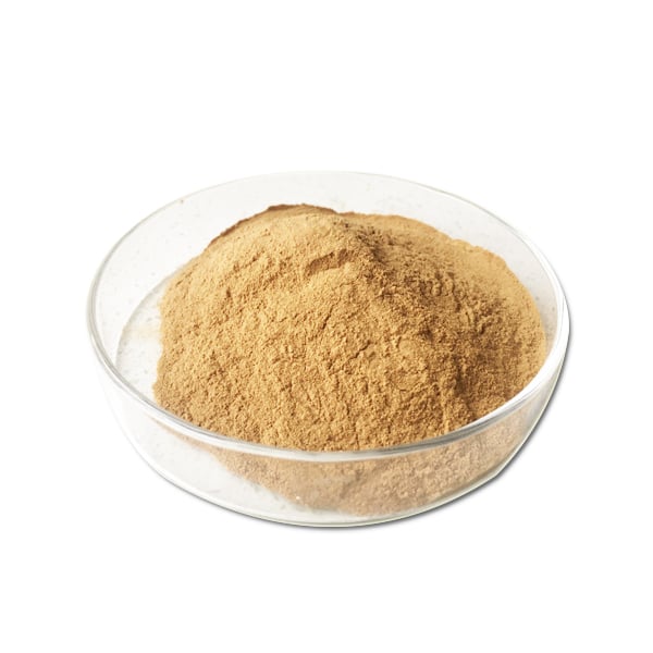 Bamboo Leaf Extract Powder