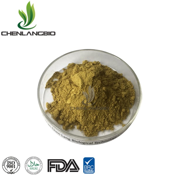 Fisetin Powder