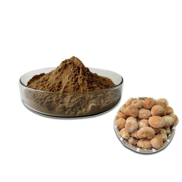 Dried Organic Lion's Mane Extract Powder