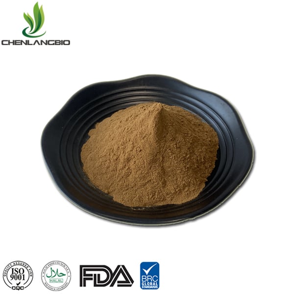 olive leaf powder
