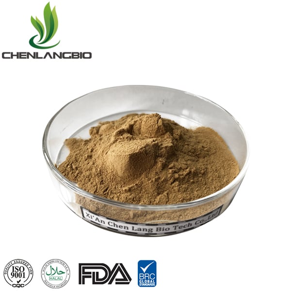 Phellinus Linteus Extract