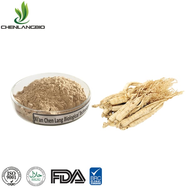 Ginseng Extract powder