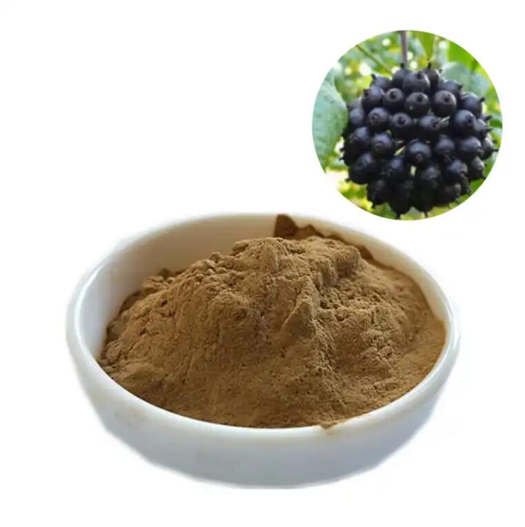 Siberian Ginseng Extract Powder