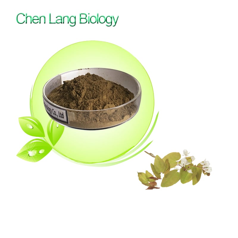 Epimedium Extract Powder