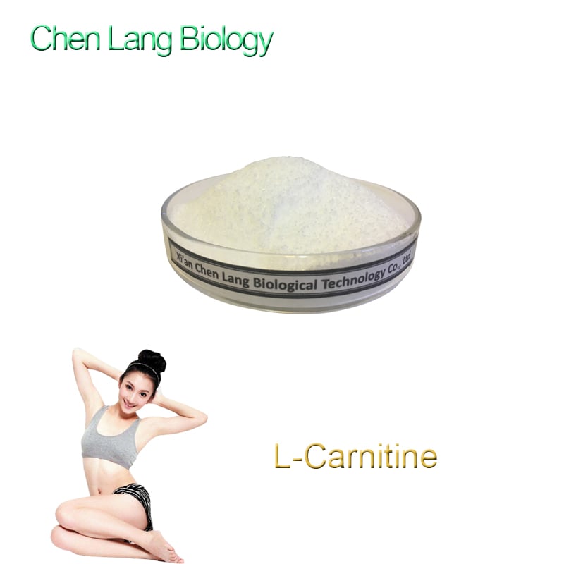 Powerful L Carnitine Powder