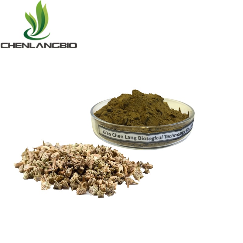 Tribulus Terrestris Extract Powder