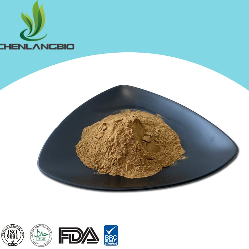 Yucca Extract Powder