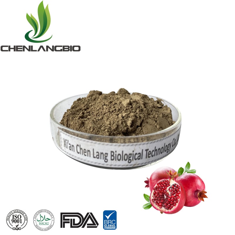 Pomegranate Extract Powder