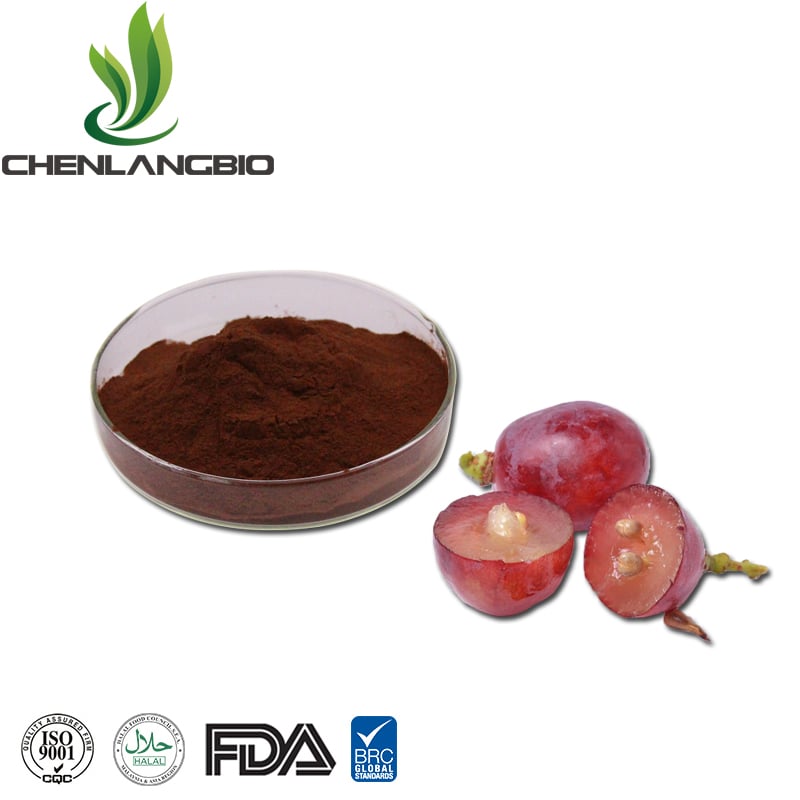 Grape Seed Extract Powder