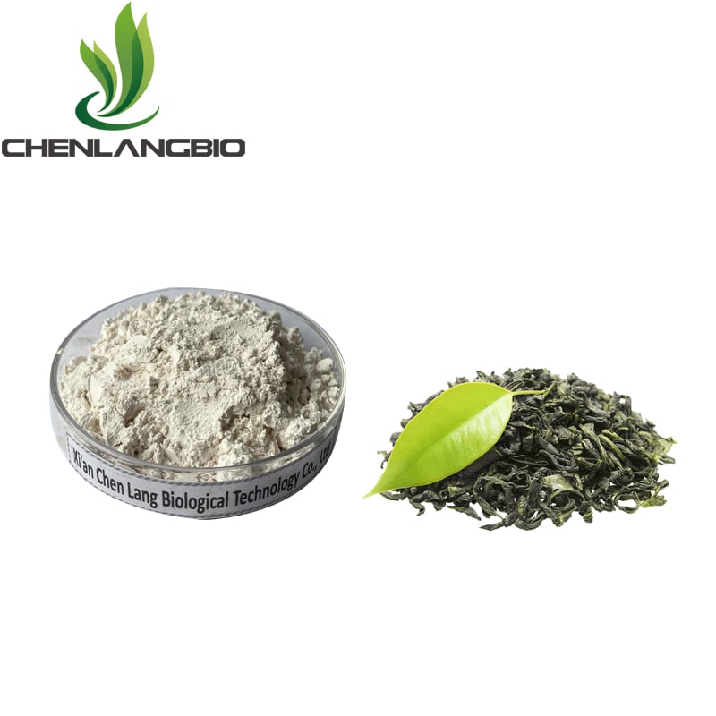 EGCG Green Tea Extract