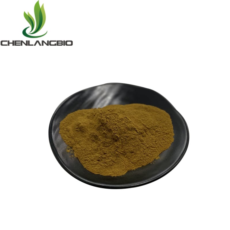 Bacopa Monnieri Extract Powder