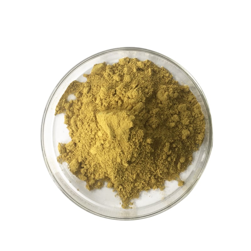 Fisetin Powder