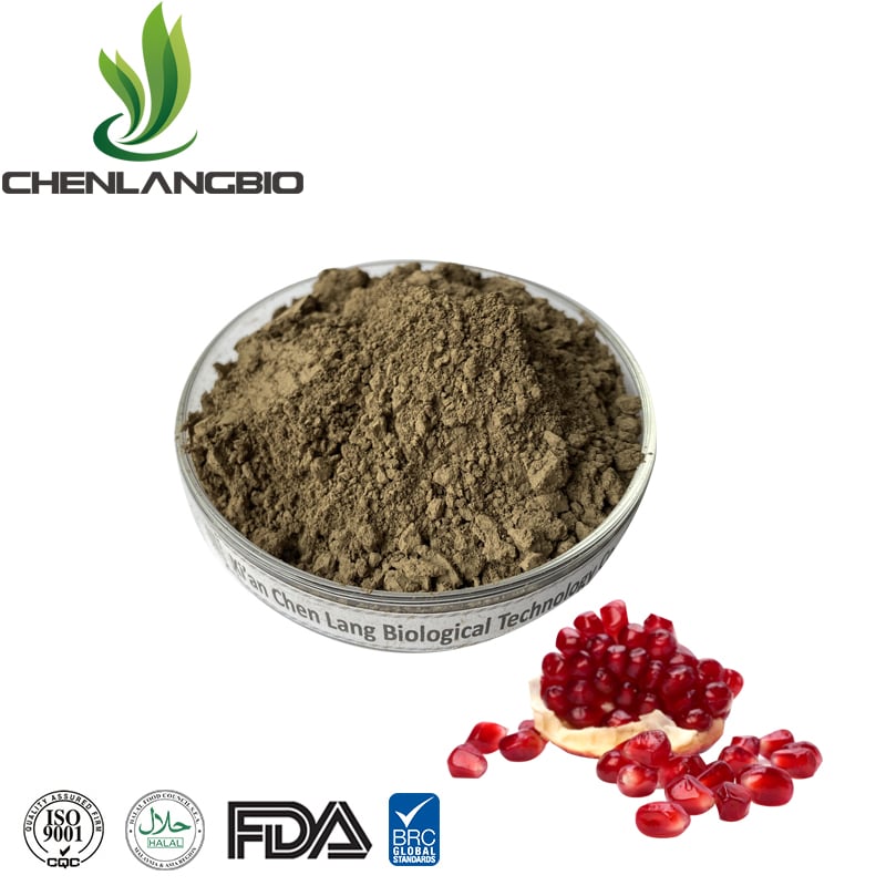 Ellagic Acid Powder