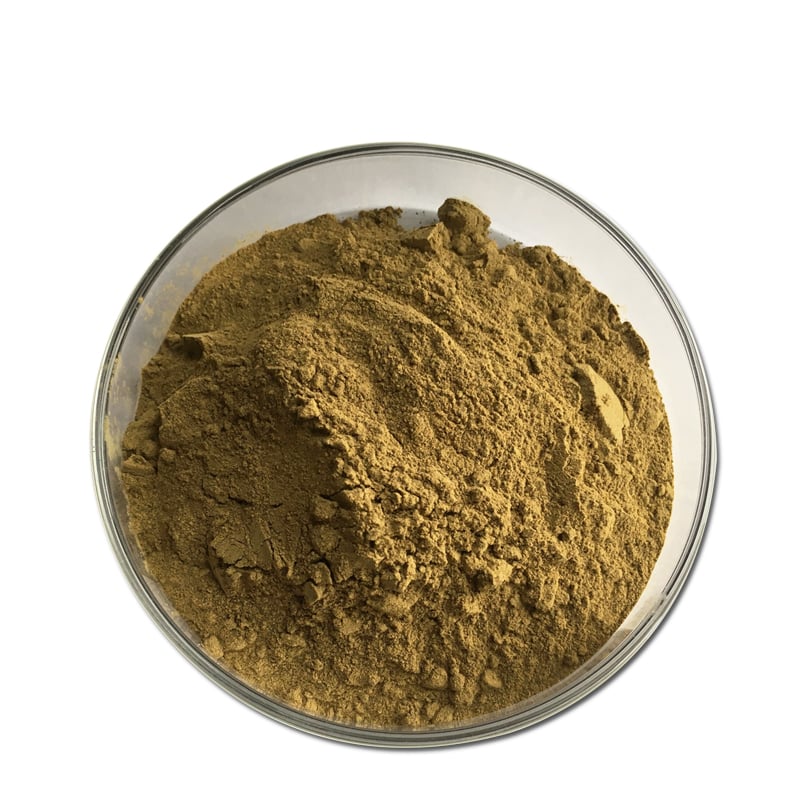 Macleaya Cordata Extract