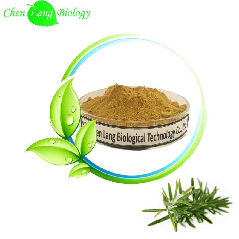 High-quality Rosemary Extract Powder