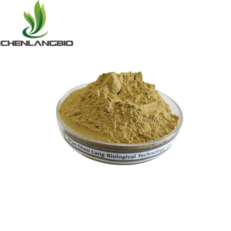 Wolfberry Extract Powder