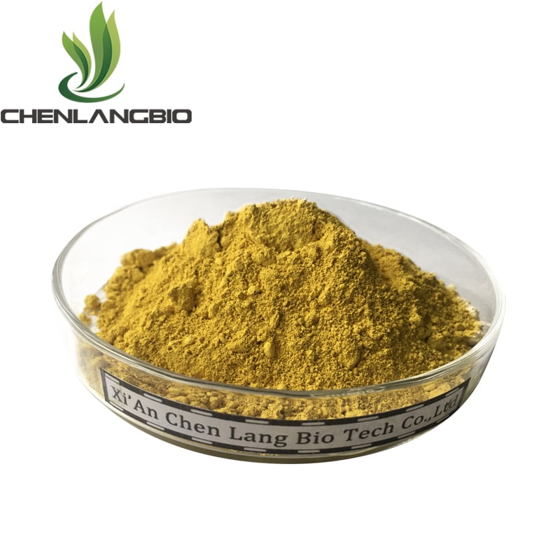 Potent Fisetin Powder for Antioxidant and Immune Support