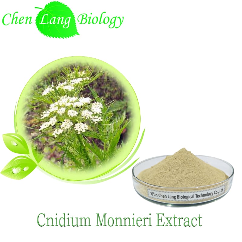 best cnidium monnieri extract