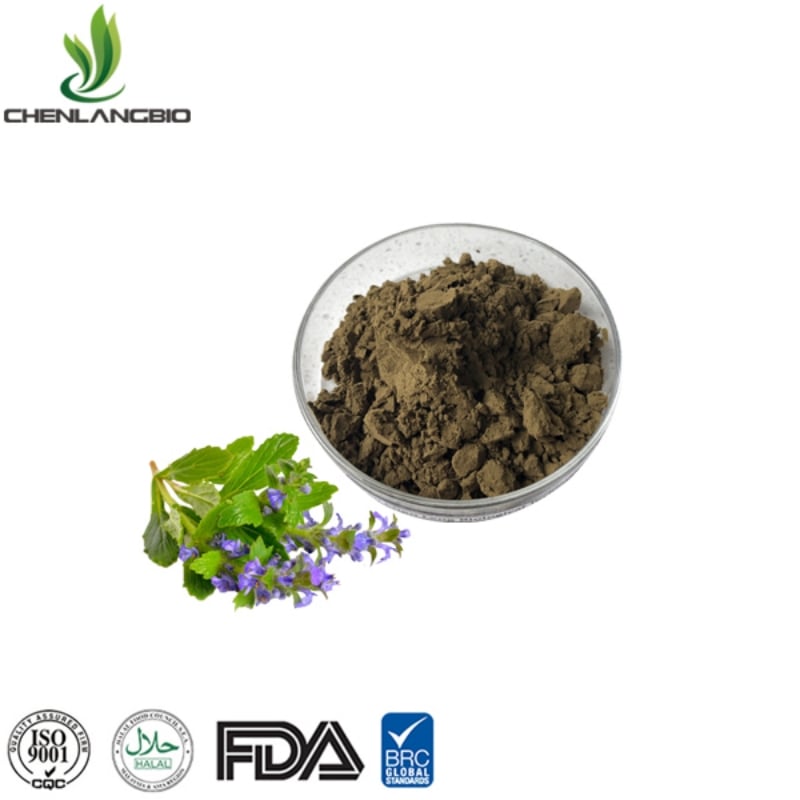 ajuga turkestanica extract for sale