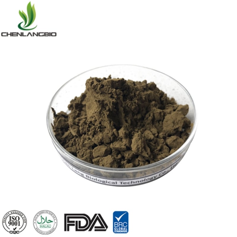 ajuga turkestanica extract powder