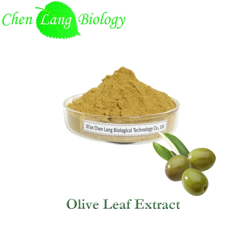 olive leaf powder organic