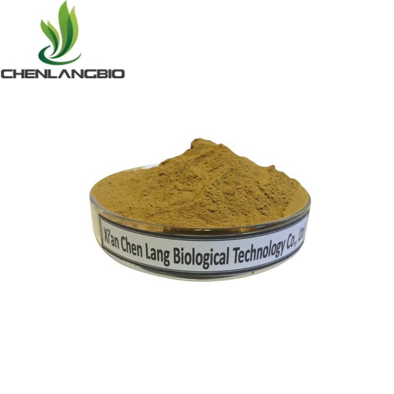 Senna Leaf Extract Powder