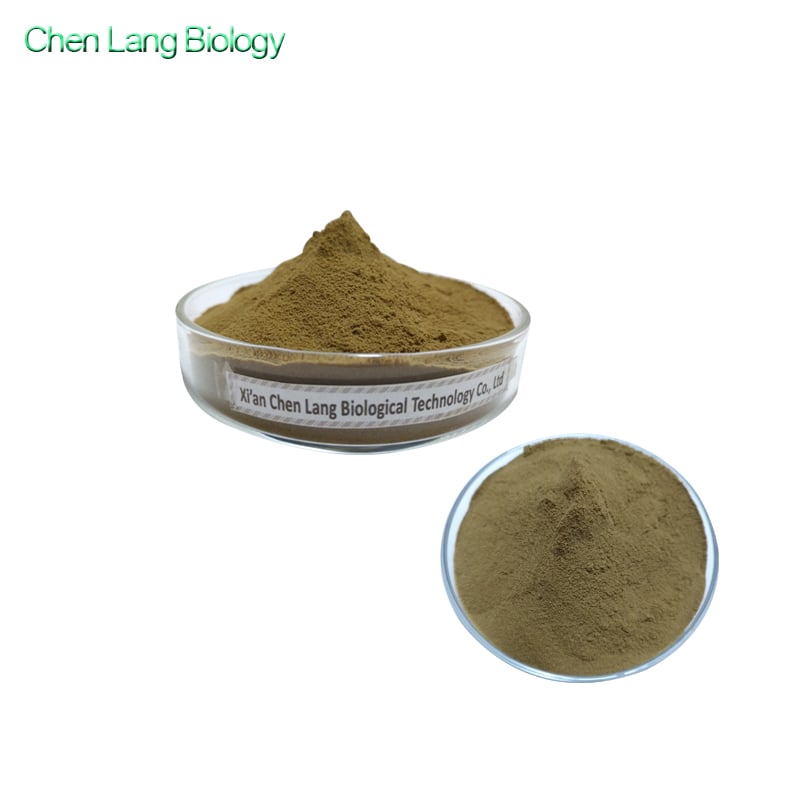 Horsetail Extract Powder