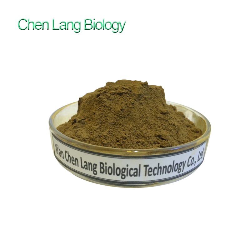 Gynostemma Pentaphyllum Extract