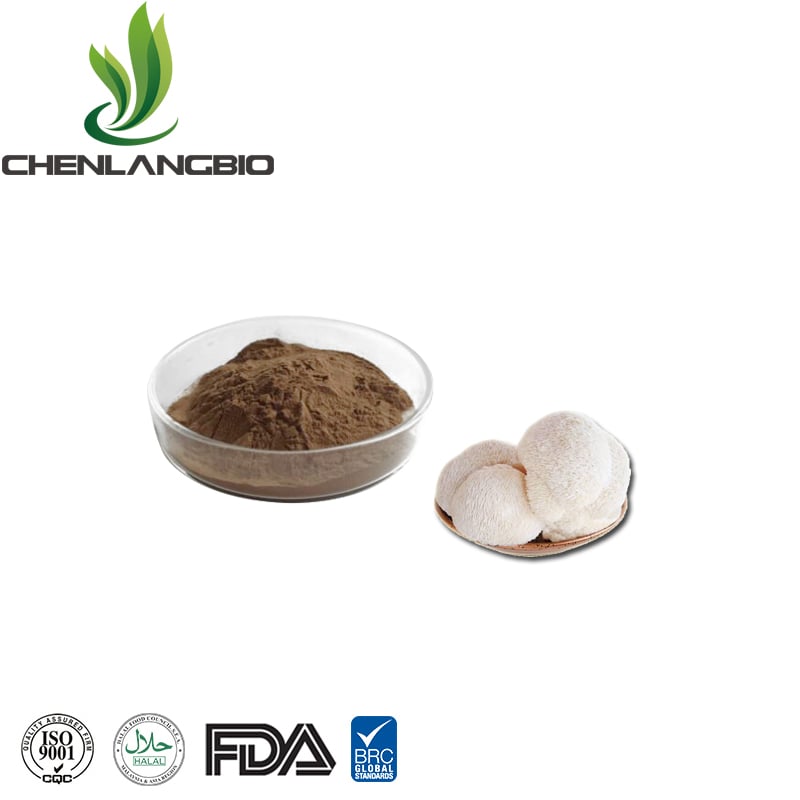 Dried Organic Lion's Mane Extract Powder